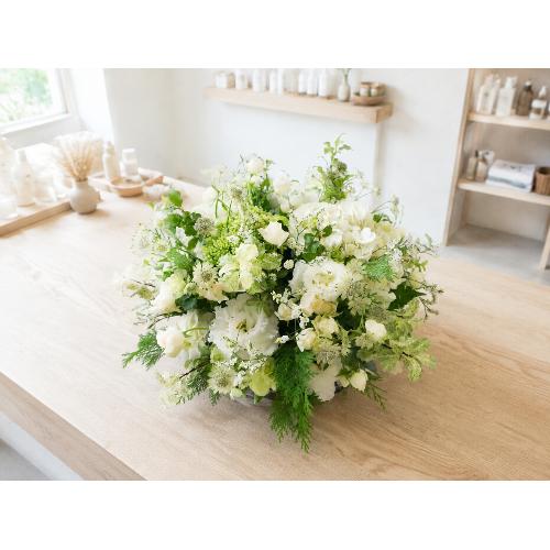 �C���e���A�̂悤�Ȃ��ԁ@�yLagom Bloom�z2