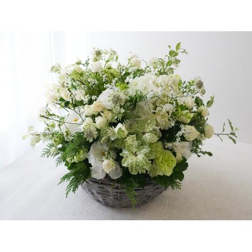 �C���e���A�̂悤�Ȃ��ԁ@�yLagom Bloom�z3