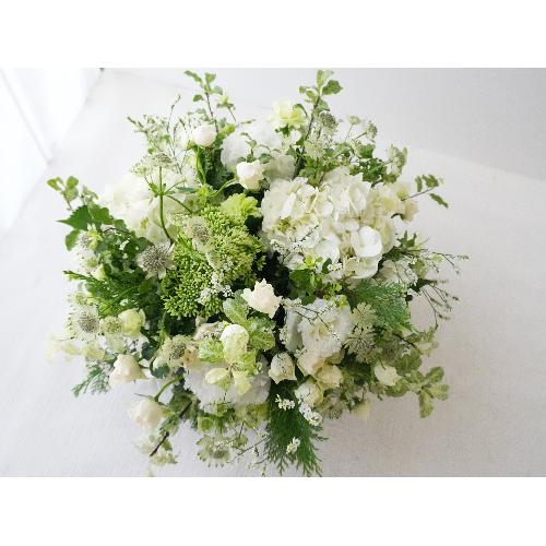 �C���e���A�̂悤�Ȃ��ԁ@�yLagom Bloom�z4