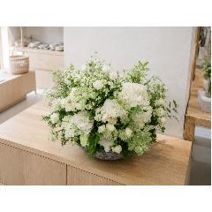 �C���e���A�̂悤�Ȃ��ԁ@�yLagom Bloom�z