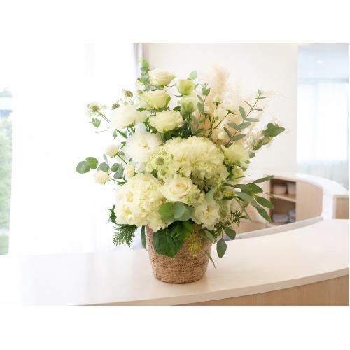 �C���e���A�̂悤�Ȃ��ԁ@�yLagom Bloom05�z