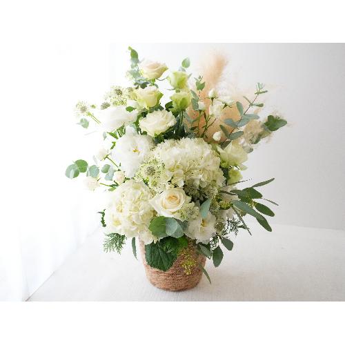 �C���e���A�̂悤�Ȃ��ԁ@�yLagom Bloom05�z4
