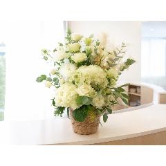 �C���e���A�̂悤�Ȃ��ԁ@�yLagom Bloom05�z
