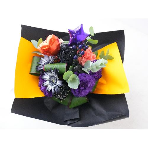 ׯ��ݸނ̂܂܏����n���E�B���u�[�P2