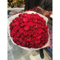 Ԃo108{̉ԑ