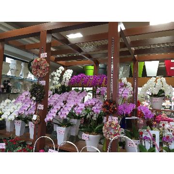 店舗内観画像