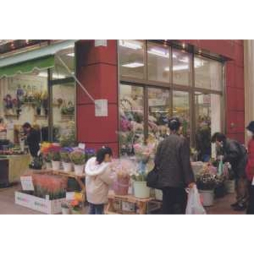 兵庫県尼崎市の花屋 フラワーショップ細谷 をご紹介 フラワーギフトはプロのお花屋さんにおまかせ フジテレビフラワーネット 兵庫県尼崎市の花屋 フラワーショップ細谷 をご紹介 フラワーギフトはプロのお花屋さんにおまかせ フジテレビフラワーネット