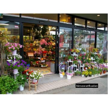 新潟県新潟市 南区の花屋 ひまわり花壇 株 ユリア をご紹介 フラワーギフトはプロのお花屋さんにおまかせ フジテレビフラワーネット