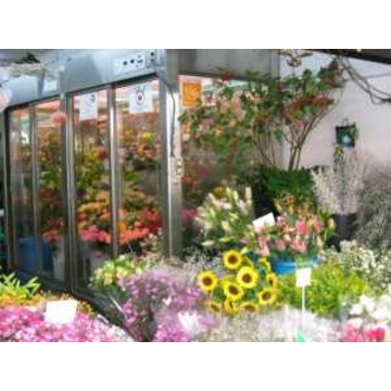 鹿児島県鹿児島市の花屋 株 宮原生花 をご紹介 フラワーギフトはプロのお花屋さんにおまかせ フジテレビフラワーネット 鹿児島県鹿児島市の花屋 株 宮原生花 をご紹介 フラワーギフトはプロのお花屋さんにおまかせ フジテレビフラワーネット