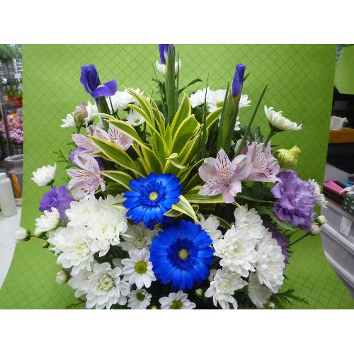 �䋟�@�A�����W�����g