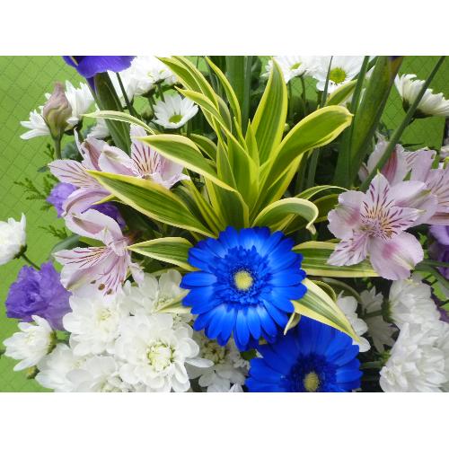 �䋟�@�A�����W�����g3