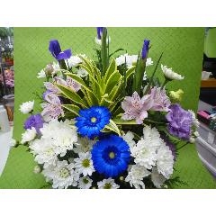 �䋟�@�A�����W�����g