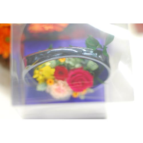 �A�[�`�`�R���|�[�g�v���U�[�u�h�t�����[�A�����W3