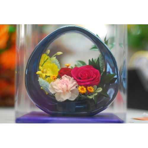 �A�[�`�`�R���|�[�g�v���U�[�u�h�t�����[�A�����W5