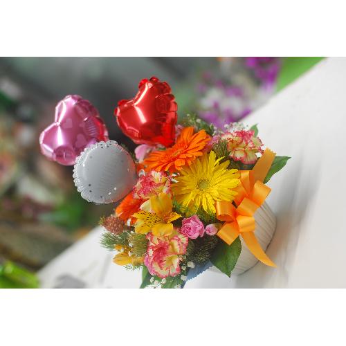 �J�[�l�[�V��������A�����W�����g2