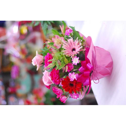 �J�[�l�[�V���� ��̓��A�����W2