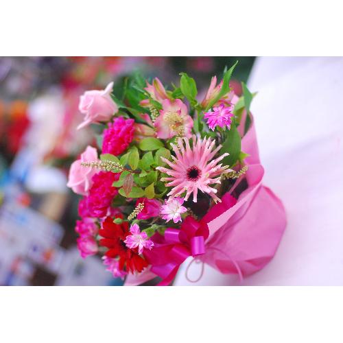 �J�[�l�[�V���� ��̓��A�����W4
