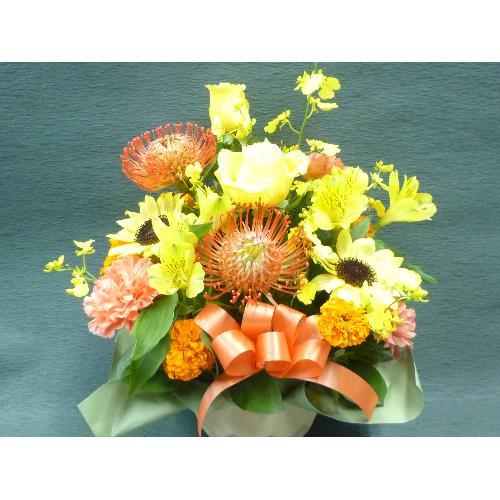 �I�����W���C�G���[�@�A�����W
