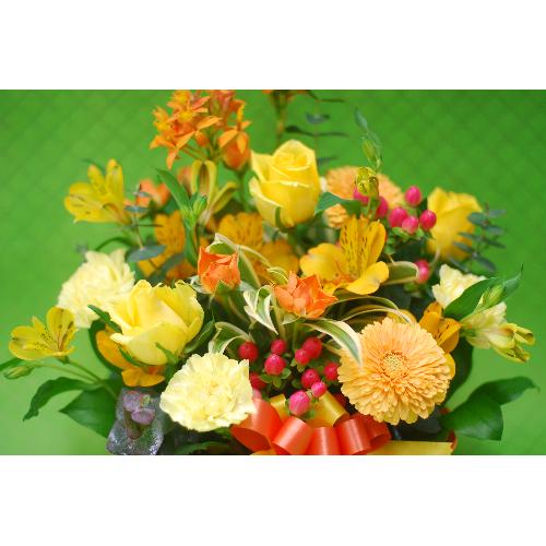 �I�����W���C�G���[�@�A�����W3