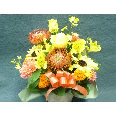 �I�����W���C�G���[�@�A�����W