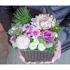 �}�t�A�����W�����g