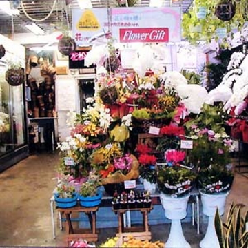 神奈川県横須賀市の花屋 フラワーショップ花松 をご紹介 フラワーギフトはプロのお花屋さんにおまかせ フジテレビフラワーネット