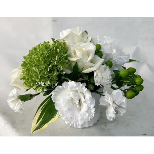���E�O���[���̃A�����W�����g