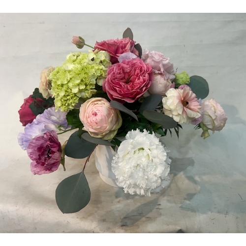 �G���K���g�ȐF�����̃A�����W�����g