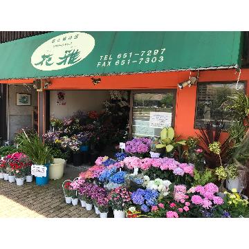 福岡県北九州市 八幡東区の花屋 フラワーショップ花雅 をご紹介 フラワーギフトはプロのお花屋さんにおまかせ フジテレビフラワーネット