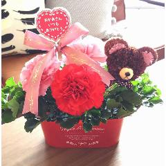 mother ���˥ޥ륢��󥸥���(S)