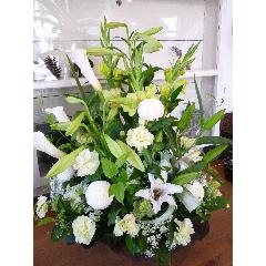 mitsuka style󥸥ȡ01