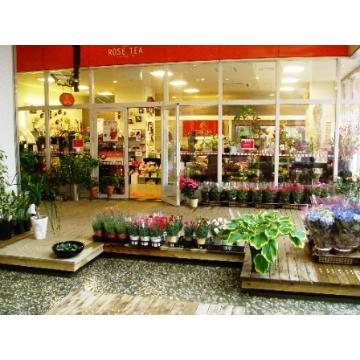 鹿児島県鹿屋市の花屋 Flowers Design ｒｏｓｅｔｅａ をご紹介 フラワーギフトはプロのお花屋さんにおまかせ フジテレビフラワーネット