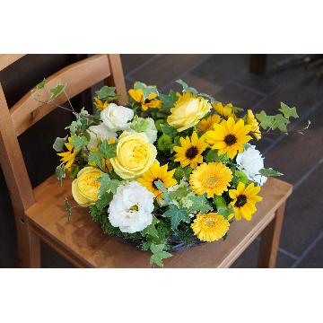 ���̑��摜