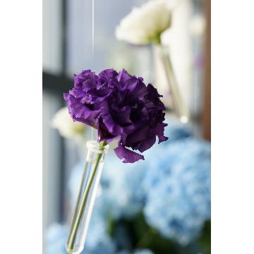 �X�ܓ��ω摜