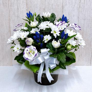 お供え用アレンジメント*菊の花をメインに