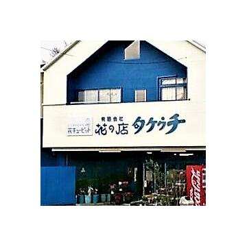 Xܓω摜