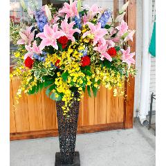 �ڤ䤫�������㥹�ʥץ�ߥ��ॹ����ɲ֥����������ԥ󥯡���ã��豧�Եܻԡ������ԡ����ڻԡ�����ԡ�����Į