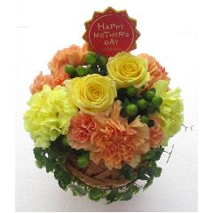 �פ鷺ϯ�餫�ʾд�ˡ���ե�å�����̡֥����ƥ��