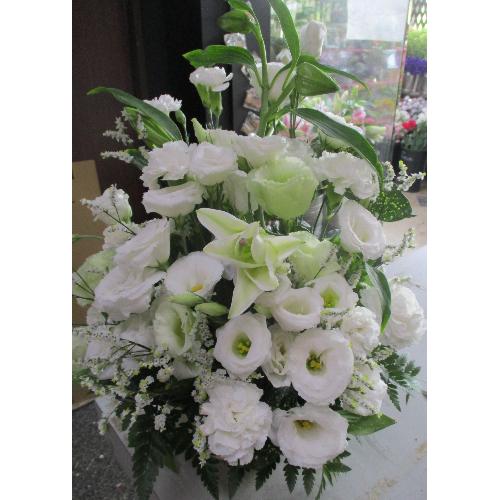 お供えアレンジメント ゆうがお トルコギキョウ花言葉 感謝 をお花に添えて 花屋 株 藤野グリーンセンター のオリジナル商品 フラワーギフトはプロのお花屋さんにおまかせ フジテレビフラワーネット お供えアレンジメント ゆうがお トルコギキョウ花言葉 感謝 をお花に添えて 花屋 株 藤野グリーンセンター のオリジナル商品 フラワーギフトはプロのお花屋さんにおまかせ フジテレビフラワーネット
