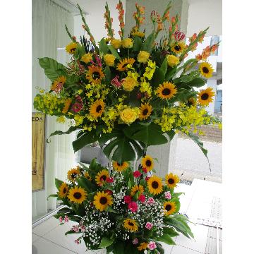 ���̑��摜