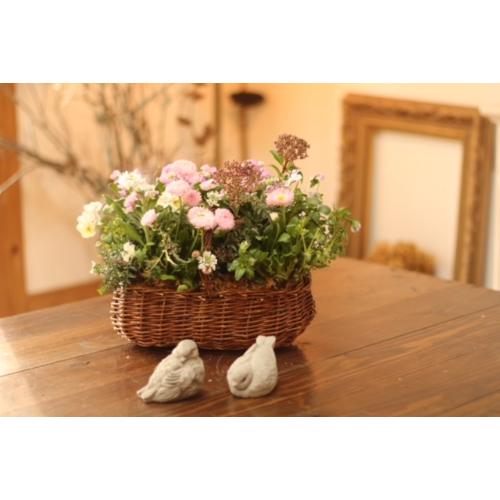 vɂ܂G߂̊񂹐AuR[Wt[oXPbgii`j2