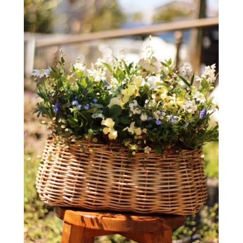 vɂ܂G߂̊񂹐AuR[Wt[oXPbgii`j3