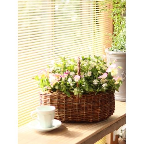 vɂ܂G߂̊񂹐AuR[Wt[oXPbgii`j4