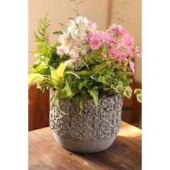 vɂ܂ G߂̃̉Ԃg񂹐AuR[Wt[GKX|bg