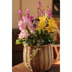 vɂ܂ G߂̃̉Ԃg񂹐AuR[Wt[oXPbg