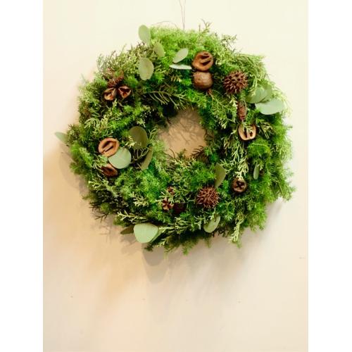 2025NX}X[X@tbVȐjt̃i`[X