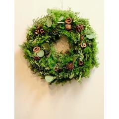 2025NX}X[X@tbVȐjt̃i`[X