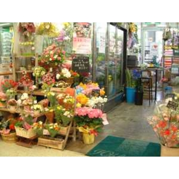 長崎県北松浦郡 佐々町の花屋 フローリストまつやま をご紹介 フラワーギフトはプロのお花屋さんにおまかせ フジテレビフラワーネット