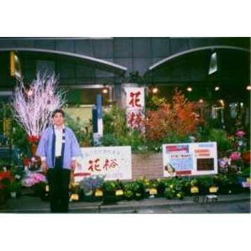 東京都東久留米市の花屋 花裕 有 小裕 をご紹介 フラワーギフトはプロのお花屋さんにおまかせ フジテレビフラワーネット