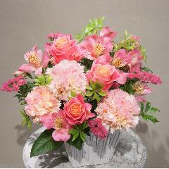 �������ԥ󥯤Τ��襤������󥸥���